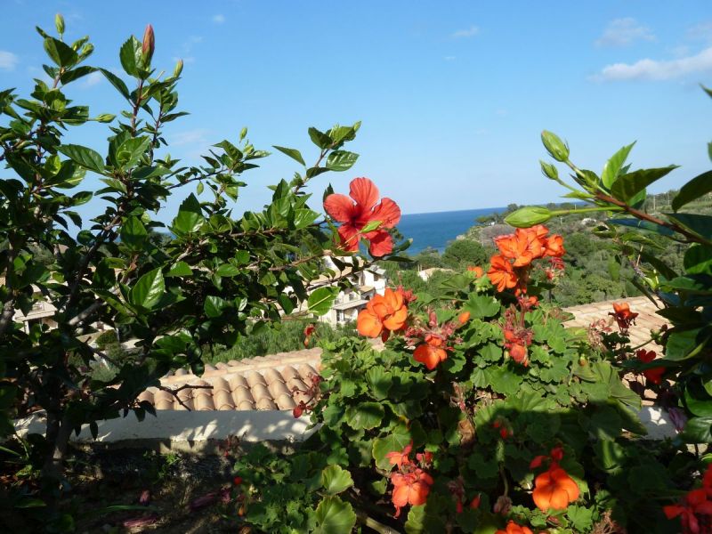 2010 10 startseite sizilien