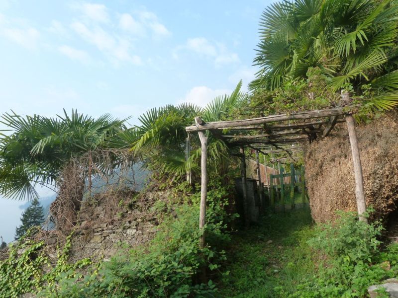 2012 10 startseite lagomaggiore