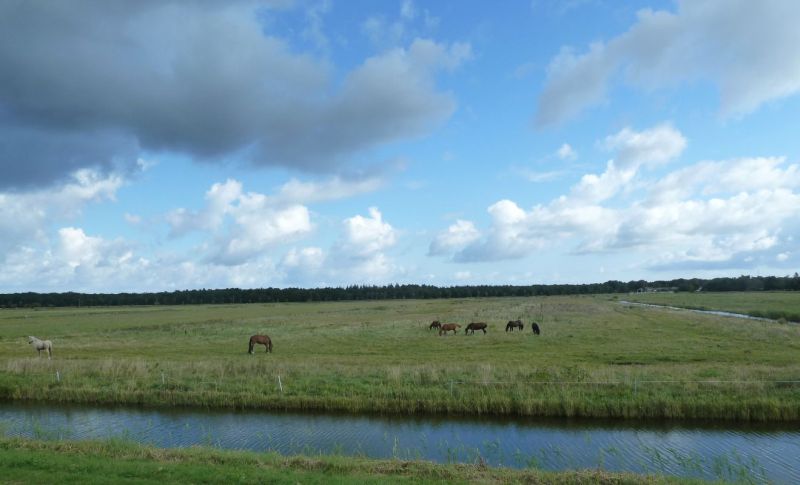 2013 09 startseite ruegen